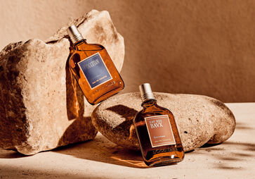 Fragrances For Him